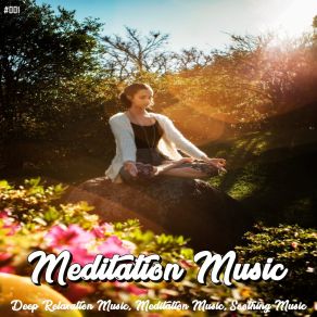 Download track Tibetan Healing Zen Music Garden