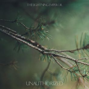 Download track Unauthorized The Lightning Emperor