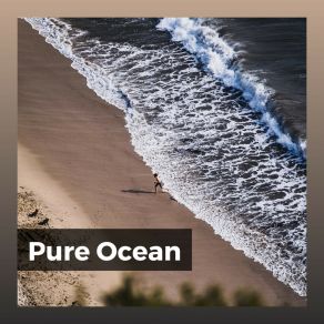 Download track Relaxing Ocean Sounds, Pt. 20 Ocean Sounds FX
