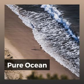 Download track Ocean Vast Ocean Sounds FX