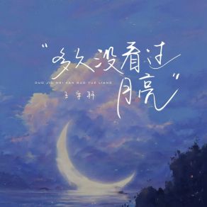 Download track 多久没看过月亮 王宇轩