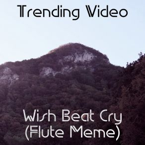 Download track Wish Beat Cry (Flute Meme) (Speed-Up Tik-Tok Remix) Trending Video