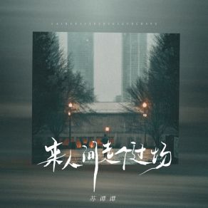 Download track 来人间走个过场 (深情版) 苏谭谭