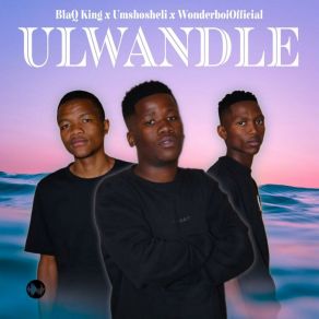 Download track 02. Sthandwa Seminyaka WonderboiOfficialAwande Mthabela