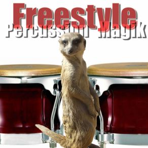 Download track Picoli Freestyle Percussion Magik