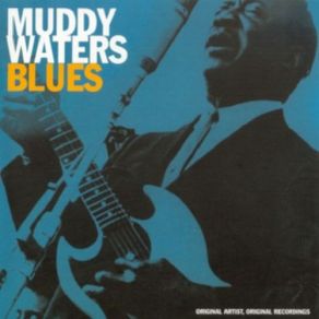 Download track Gypsy Woman Muddy Waters