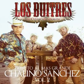 Download track Chema Arroyo Los Buitres De Culiacan Sinaloa