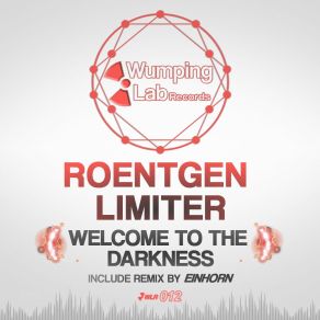 Download track Welcome To The Darkness (Original Mix) Roentgen Limiter