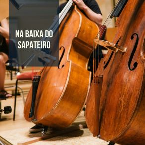 Download track Na Baixa Do Sapateiro Trio Nago