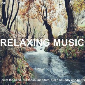 Download track The Future Will Be Better Relaxing Music Therapy