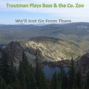 Download track Nothing To It The Co. Zoo