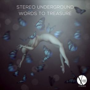 Download track Words To Treasure (Instrumental Mix) Stereo Underground, Daniel Sealine