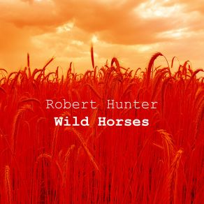 Download track Wild Horses (Tamed Mix) Robert Hunter