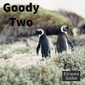 Download track I Will Try Eirwen Gohn