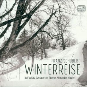 Download track Winterreise, D. 911: No. 11 Frühlingstraum In A Major, Etwas Bewegt James Alexander, Ralf Lukas