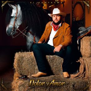 Download track Dolor Y Amor El Fantasma