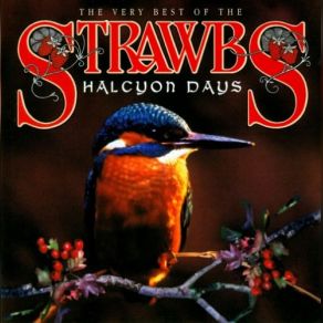 Download track New World Strawbs