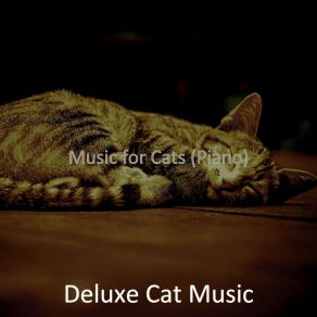 Download track Cool Ambiance For Cute Cats Deluxe Cat Music