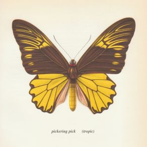 Download track The Summer's Always Dying For The Fall Pickering Pick