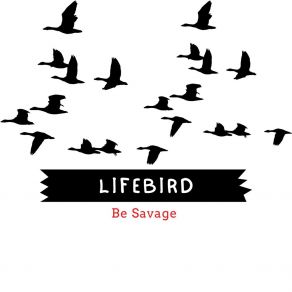 Download track Pigneon Lifebird