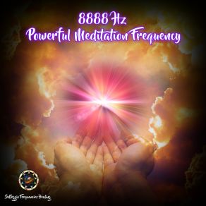 Download track 8888Hz Pure Positive Energy Emiliano Bruguera