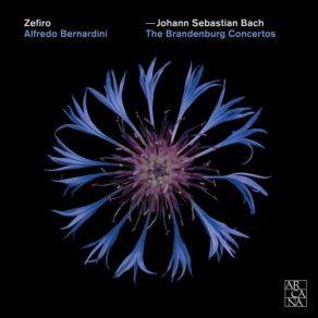 Download track Ouverture [No. 2] In B Minor, BWV 1067: VI. Menuet Alfredo Bernardini, ZefiroMarcello Gatti