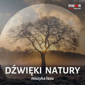 Download track Potęga Natury RW Odprężająca Muzyka