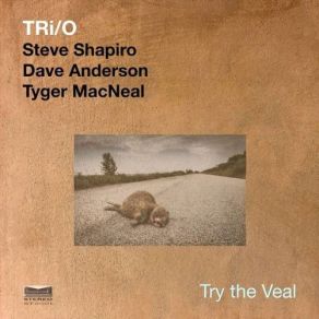 Download track Ennui' Dave Anderson, Steve Shapiro