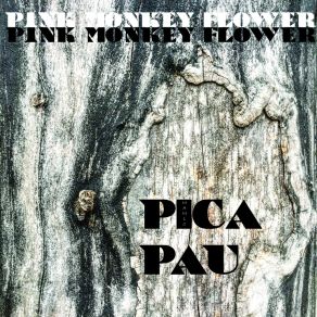 Download track Pica Pau (Davis Remix) Pink Monkey Flower