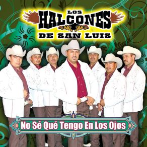 Download track Me Ando Enamorando Los Halcones De San Luis