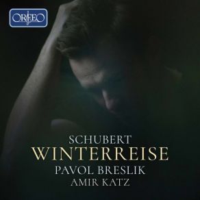Download track Winterreise, Op. 89, D. 911 No. 8, Rückblick (Live) Pavol Breslik