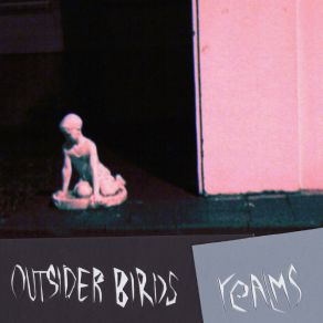 Download track The Calling Outsider Birds