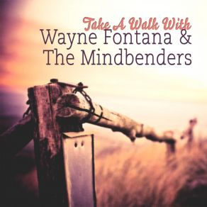 Download track She's Got The Power Wayne Fontana