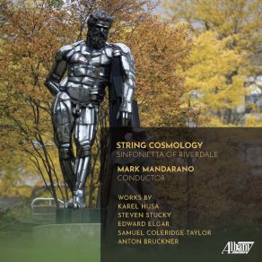 Download track Divertimento For String Orchestra: III. Finale: Allegro Non Troppo Sinfonietta Of Riverdale