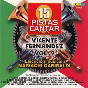 Download track Sublime Mujer (Instrumental) Mariachi Garibaldi