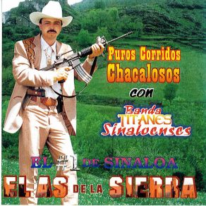 Download track Soy Malandrin El As De La Sierra
