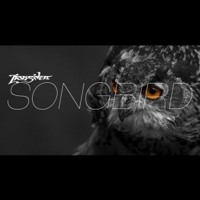 Download track Suite Songbird Lions Den