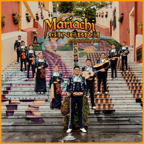 Download track No Se Va Mariachi Ginebra De Rubén Romero PérezMariachi Juvenil Oro De Mexico