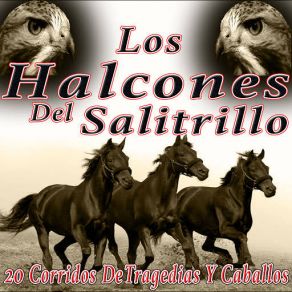 Download track El 24 De Junio Los Halcones Del Salitrillo