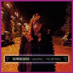 Download track Walking (Beat Gemeinschaft Remix) Hummingbird