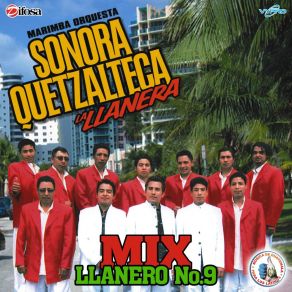 Download track Llanero Cumbia 9: Estos Celos / Antes De Que Te Vayas / El Perdedor / Veinticinco Rosas / Idiota Marimba Orquesta