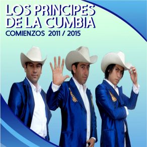 Download track La Tal Por Cual Los Principes De La Cumbia