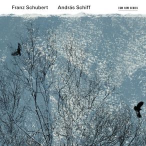 Download track Ungarische Melodie In H-Moll, D. 817 András Schiff