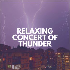 Download track I Like Rainy Days And Thunderstorms Thunder Storms Sounds