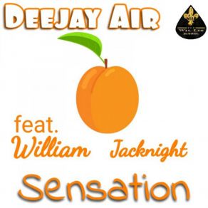 Download track Sensation Deejay AirWilliam JACKNIGHT