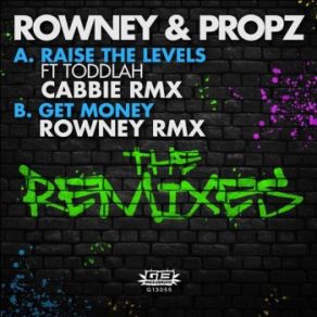 Download track Get Money (Rowney Remix) Rowney & Propz