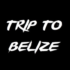 Download track Nobody's There For You Trip To Belize