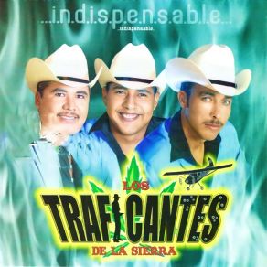 Download track Sera Por Que Te Amo Los Traficantes De La Sierra