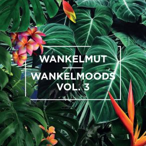 Download track I Keep Calling (Wankelmut Club Mix) Wankelmut, Bjorn Dixgard