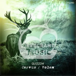 Download track Volem Original Mix Quizzow